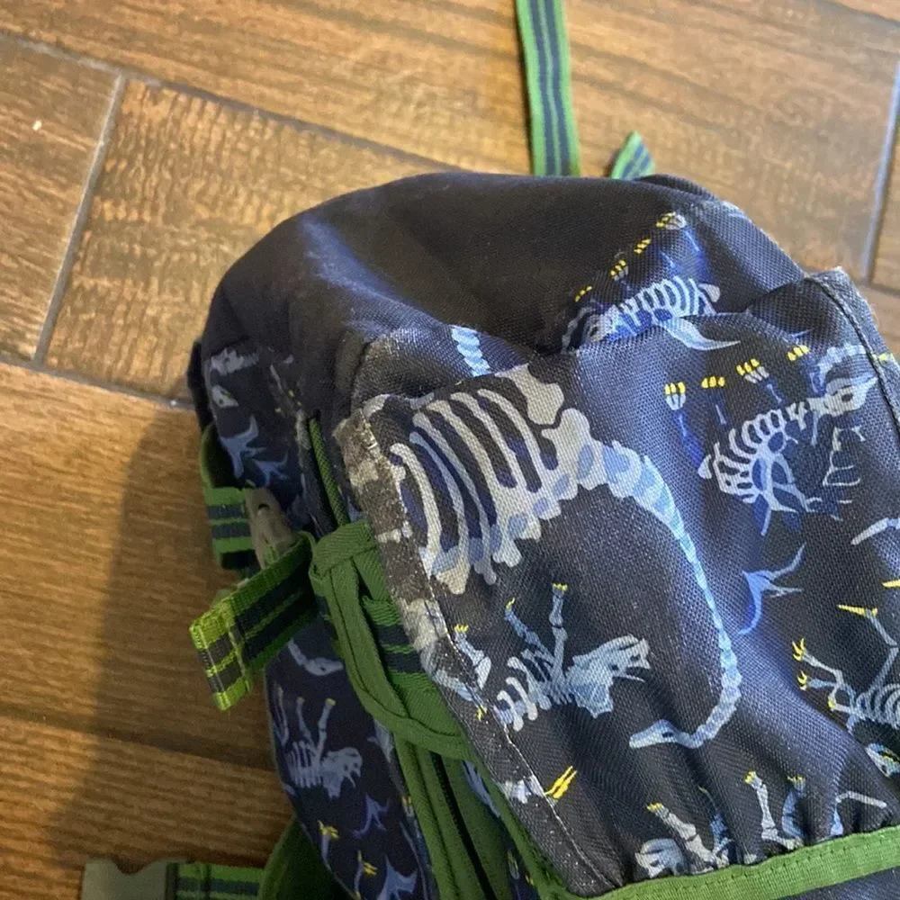 Pottery Barn Kids Bag pack